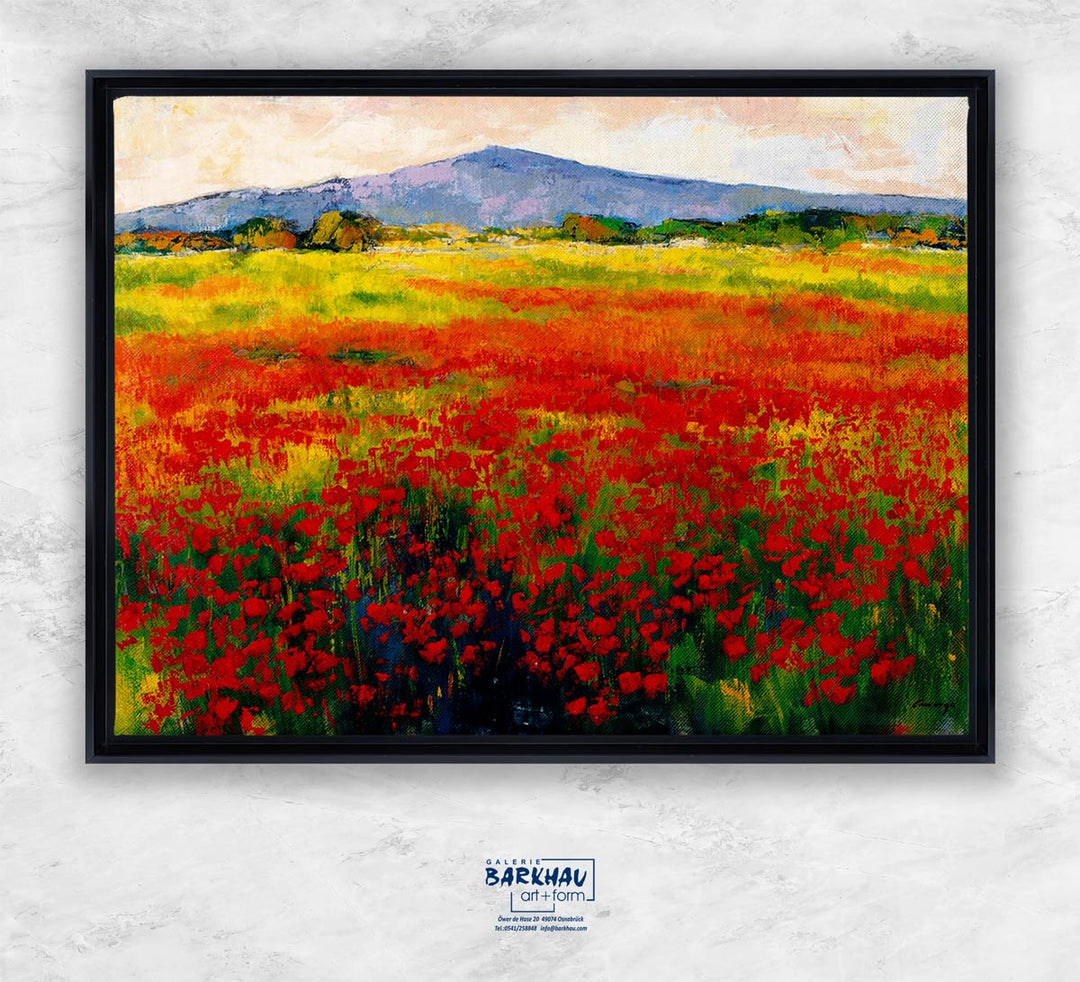 "Amapolas III" | Jesús P. Camargo