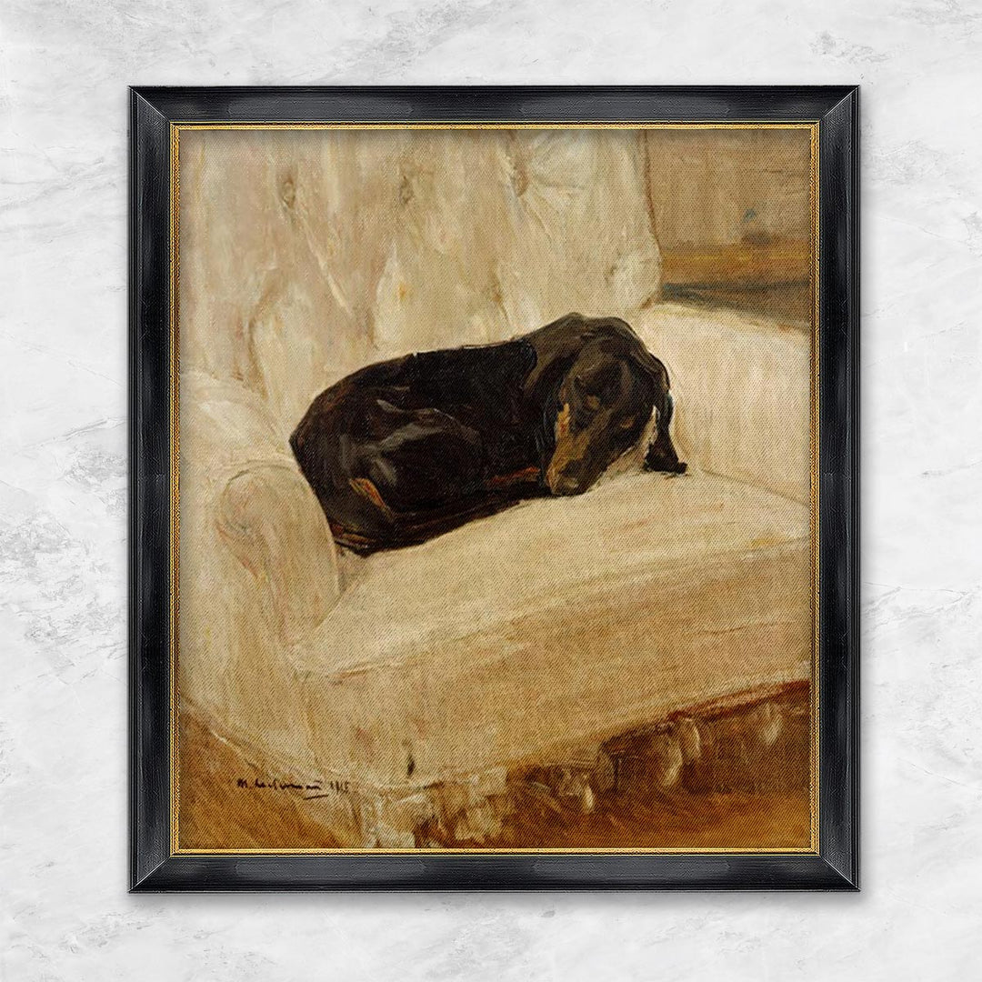 "Schlafender Dackel im Lehnstuhl" | Max Liebermann