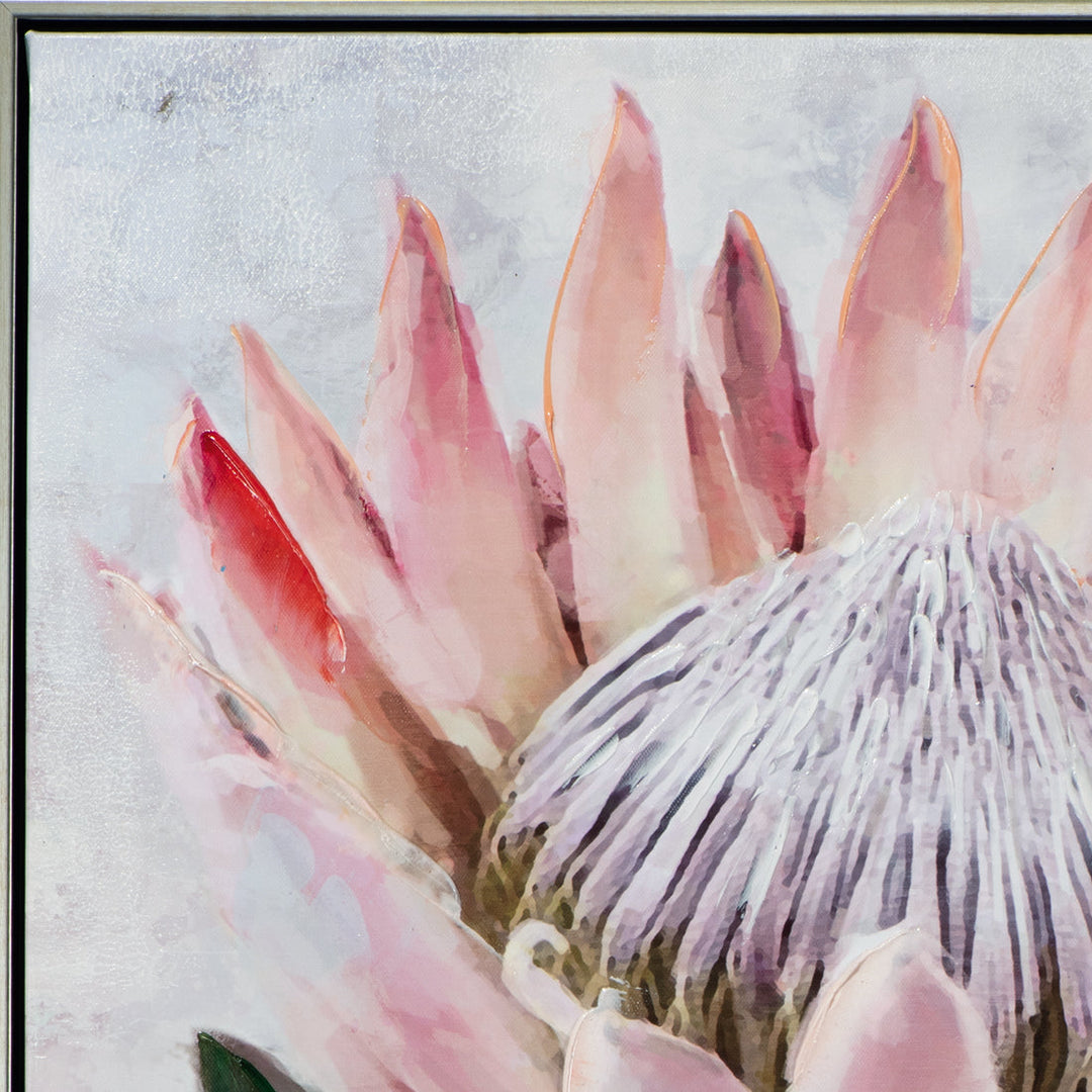 Hübsche Protea