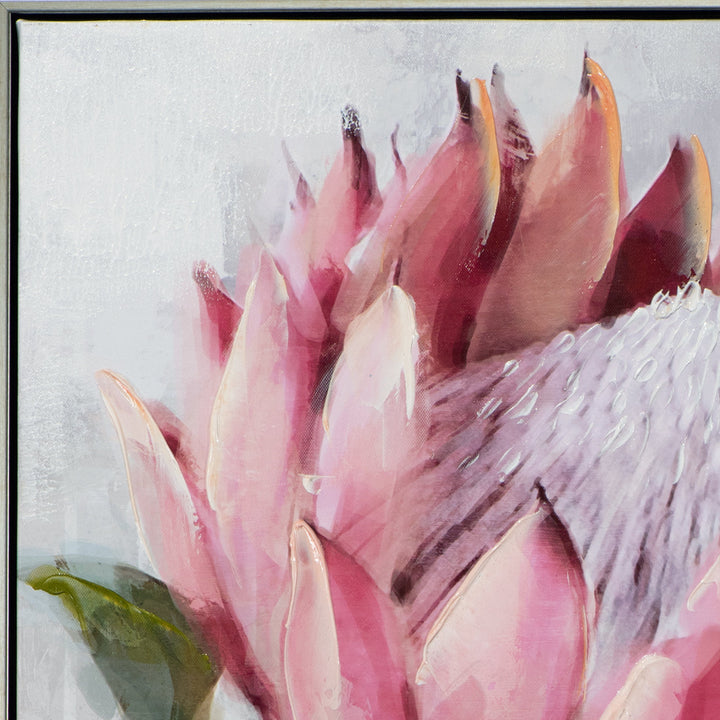 Hübsche Protea