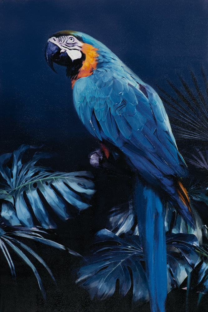 Papagei in blau