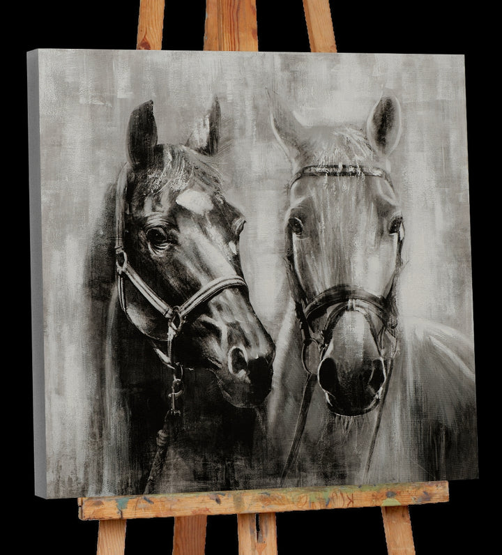 Pferde in schwarz weiß