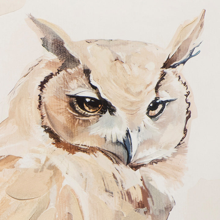 Natural Owl