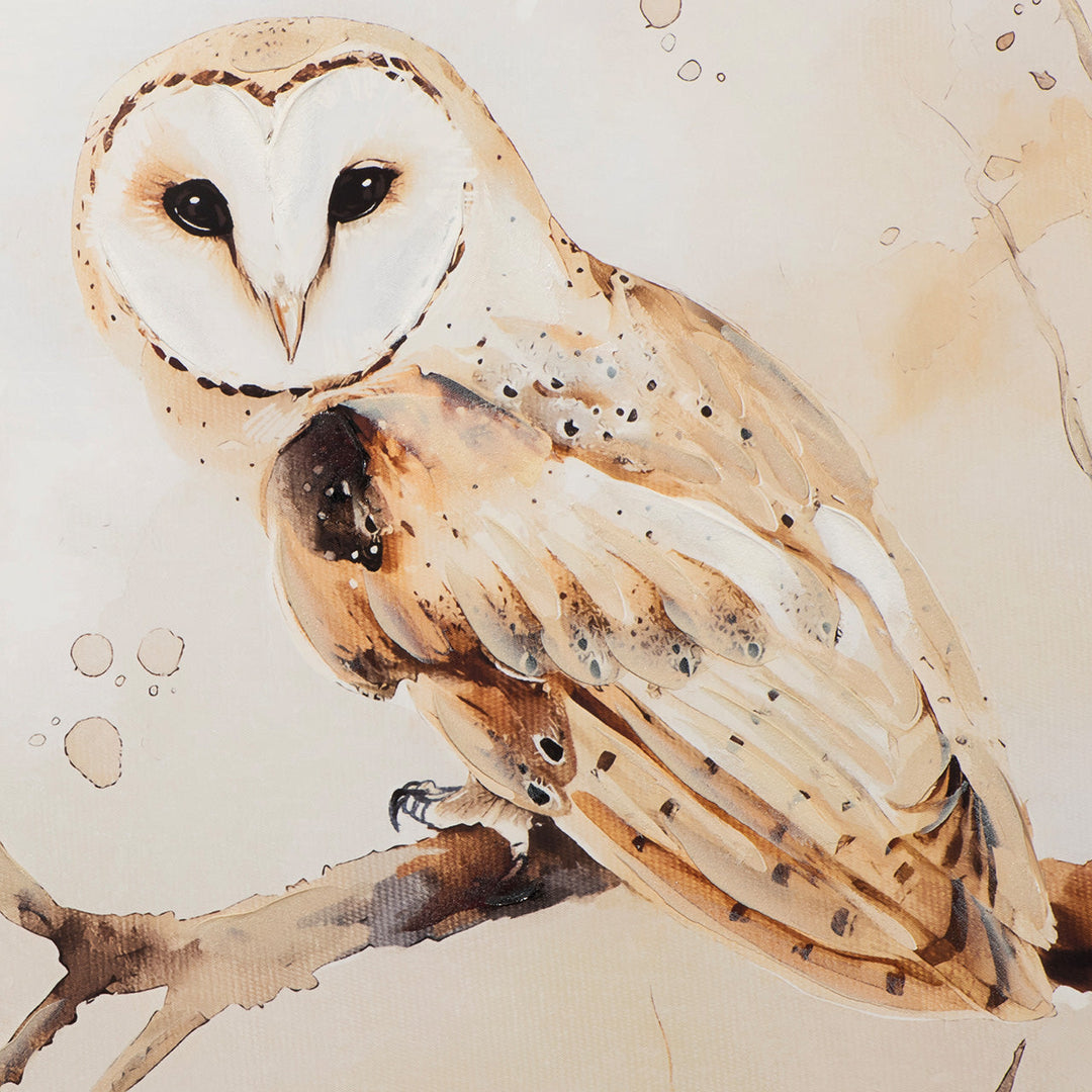 Natural Barn Owl