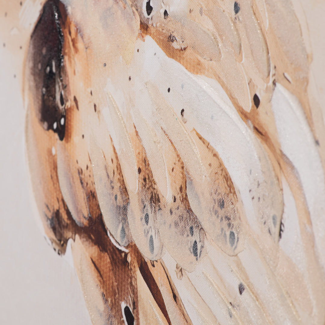 Natural Barn Owl