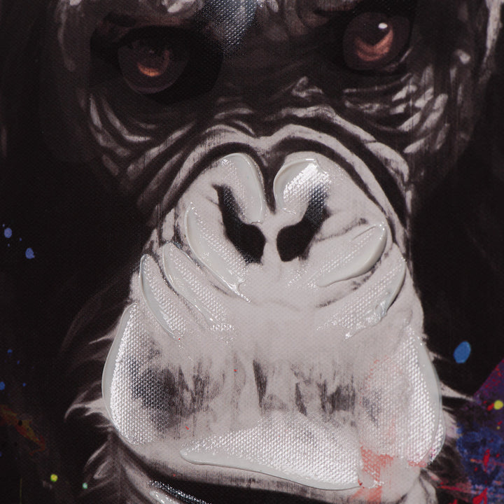 Boxing Monkey
