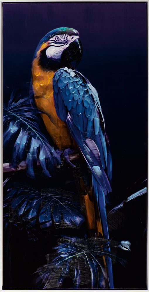 Papagei in blau