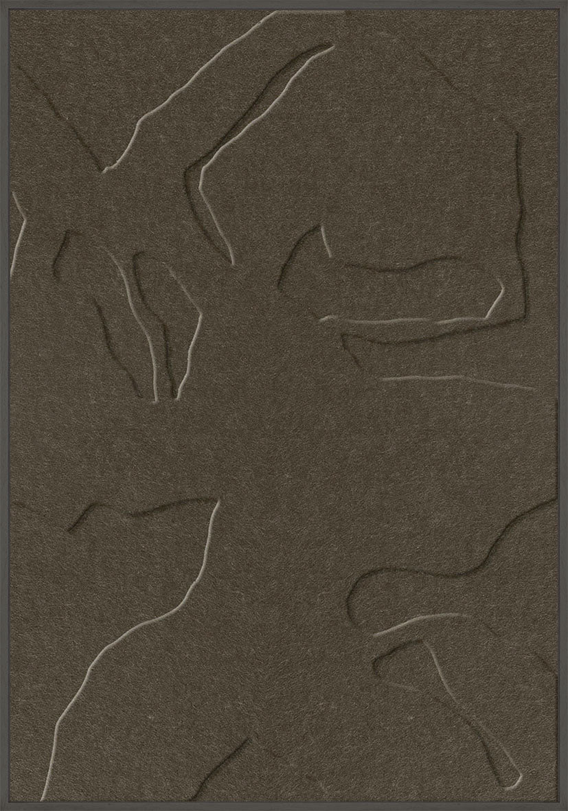 Silent Shadows 1 [200-102P-BRBR-070100-BL2]