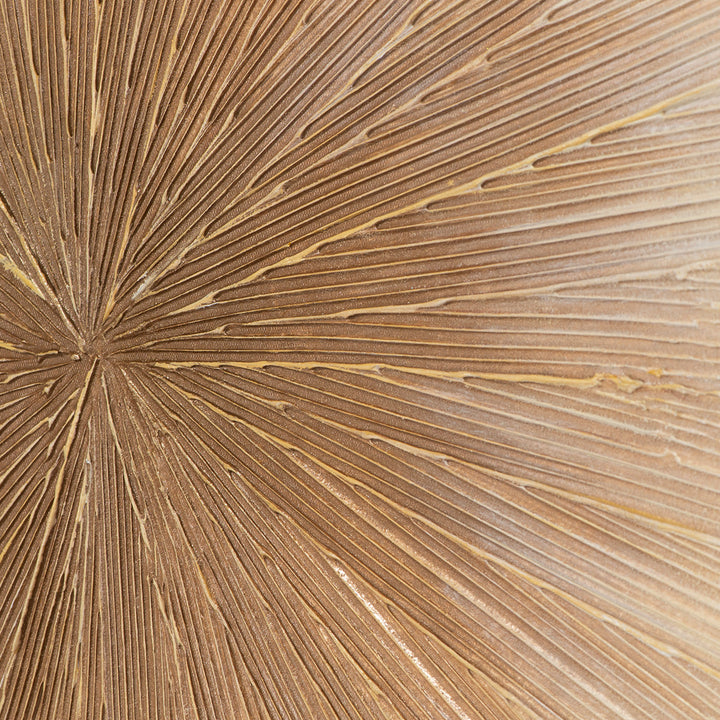 Sandy Circle