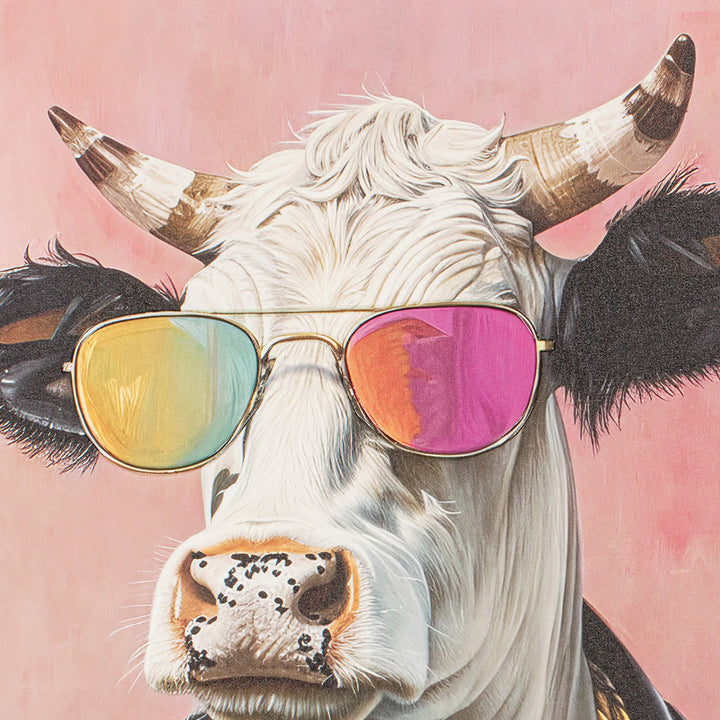 Bull easy dressed cool