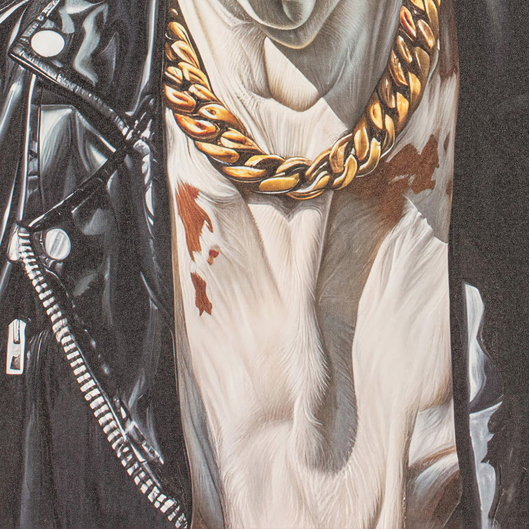 Bull easy dressed cool