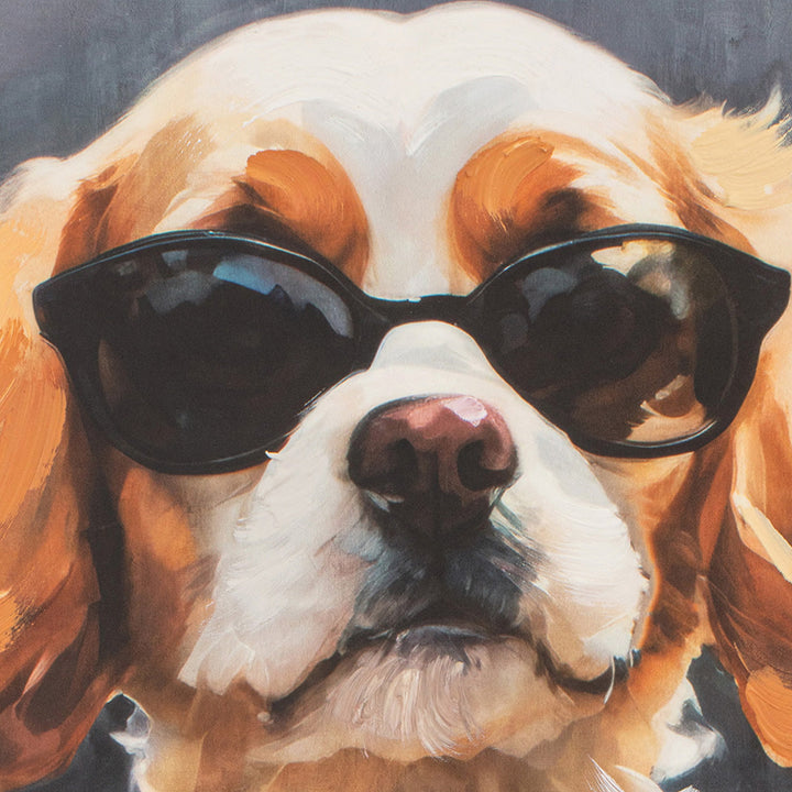 Spring Time Spaniel