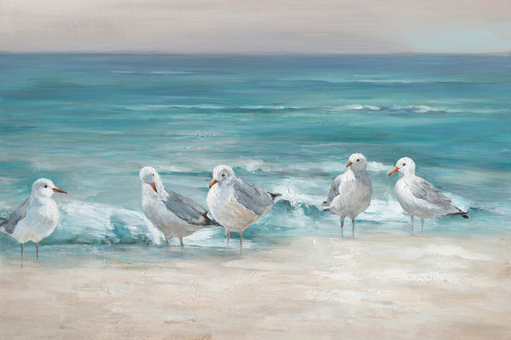 Möwen am Strand