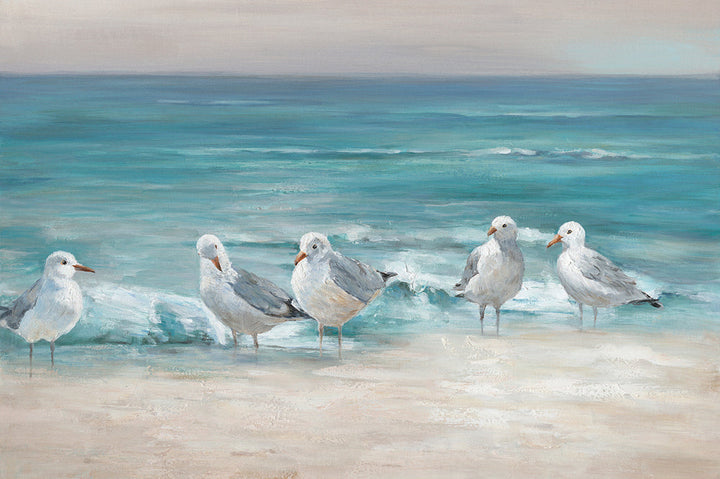 Möwen am Strand