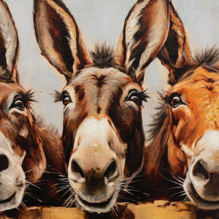 Curious Donkeys