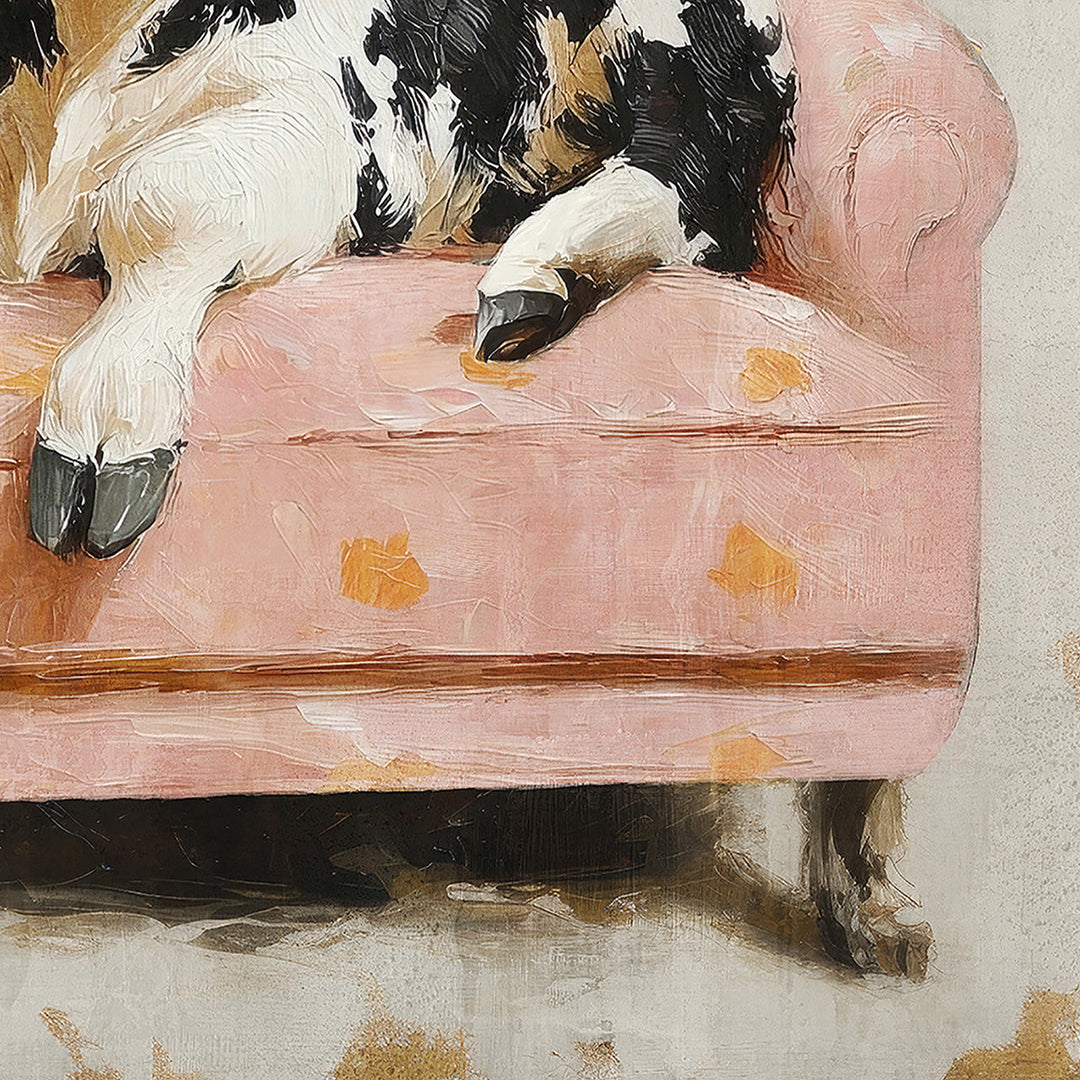 Sofa Surfer
