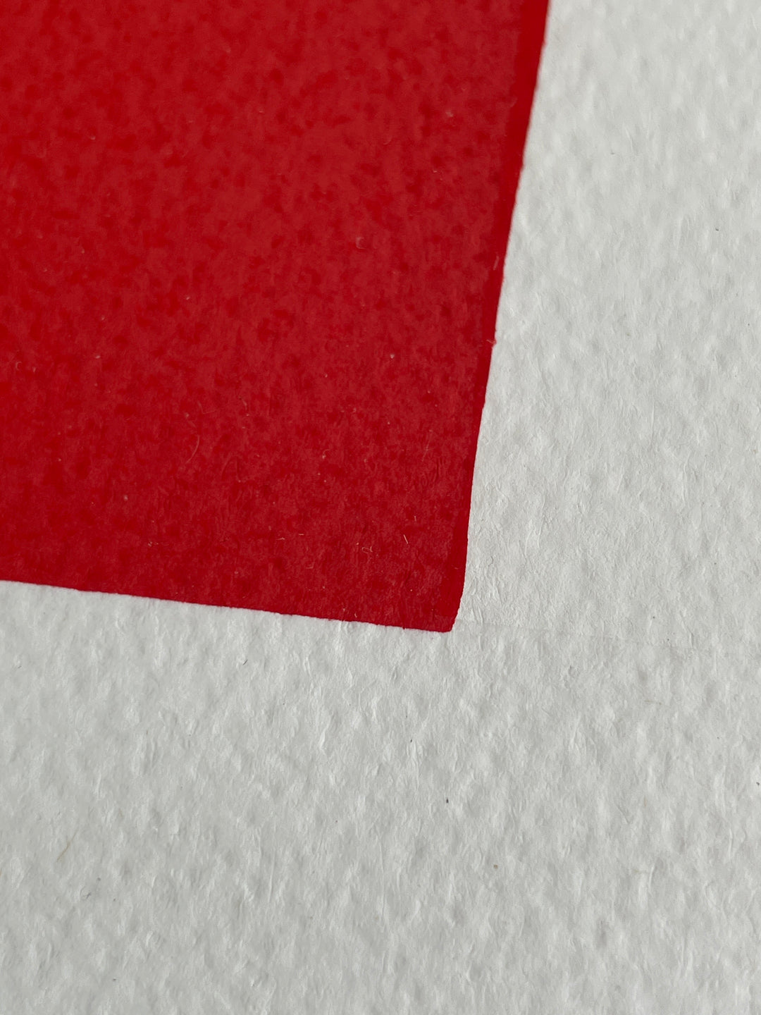 "Verve" | Henri Matisse Fine Art Siebdruck