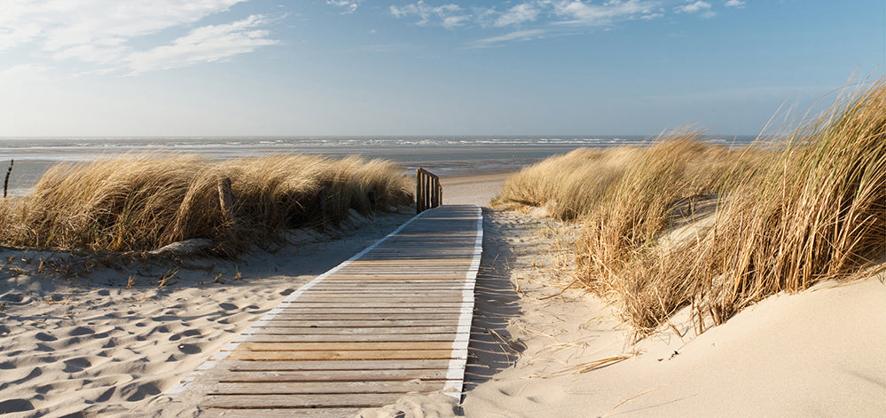 Akustikbild Pro Holzweg zum Meer 1 – Handveredelter Kunstdruck auf Leinwand