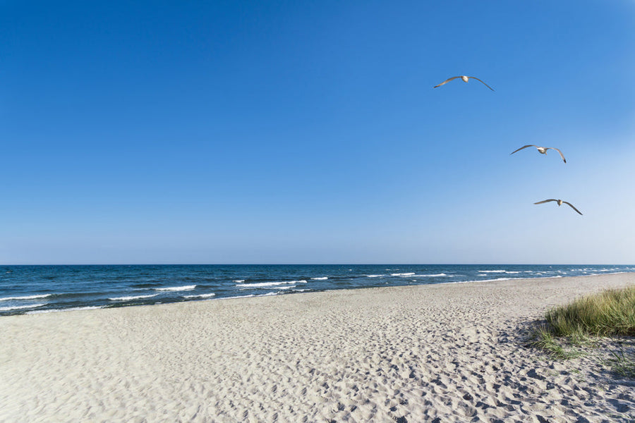 Akustikbild Slim Einsamer Strand (80 x 120 cm) – Handveredelter Kunstdruck auf Leinwand