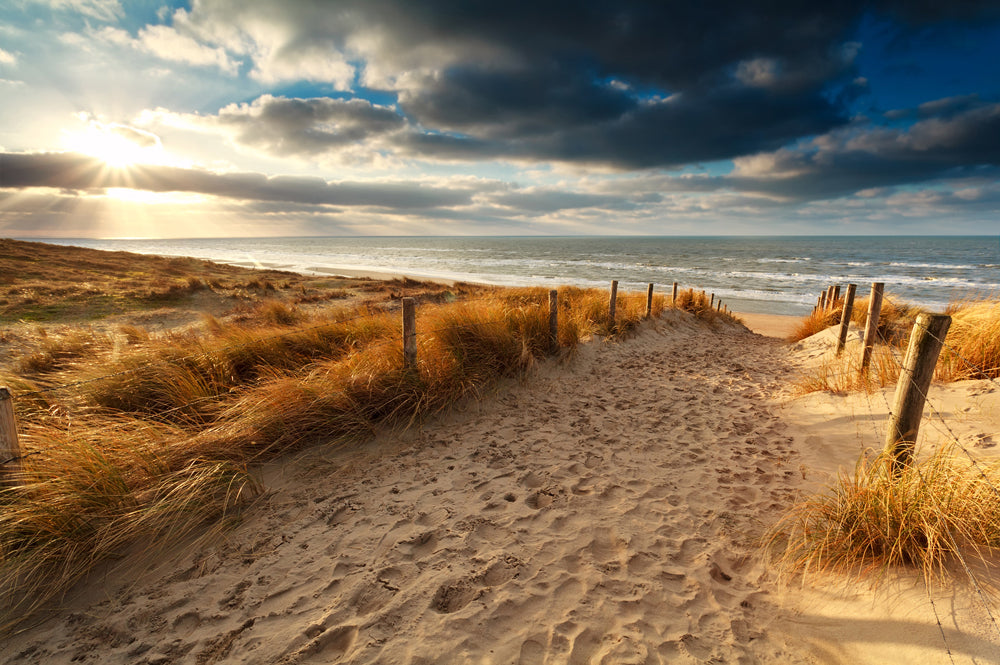 Akustikbild Slim Sandweg zum Meer 3 (80 x 120 cm) – Handveredelter Kunstdruck auf Leinwand