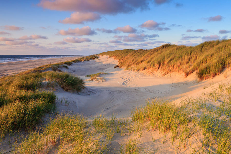 Akustikbild Slim Dünen am Meer 2 (80 x 120 cm) – Handveredelter Kunstdruck auf Leinwand