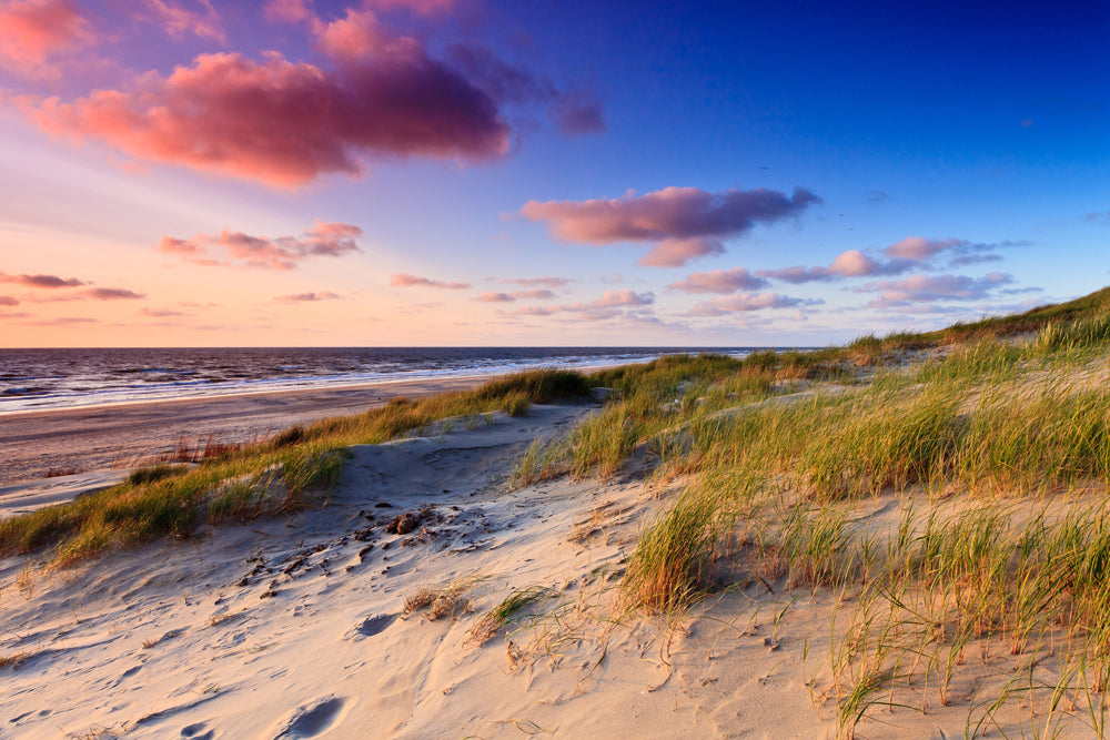 Akustikbild Slim Dünen am Meer 3 (80 x 120 cm) – Handveredelter Kunstdruck auf Leinwand