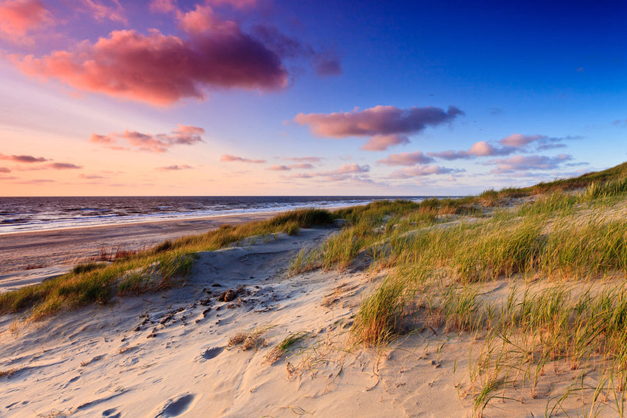 Akustikbild Slim Dünen am Meer 3 (80 x 120 cm) – Handveredelter Kunstdruck auf Leinwand