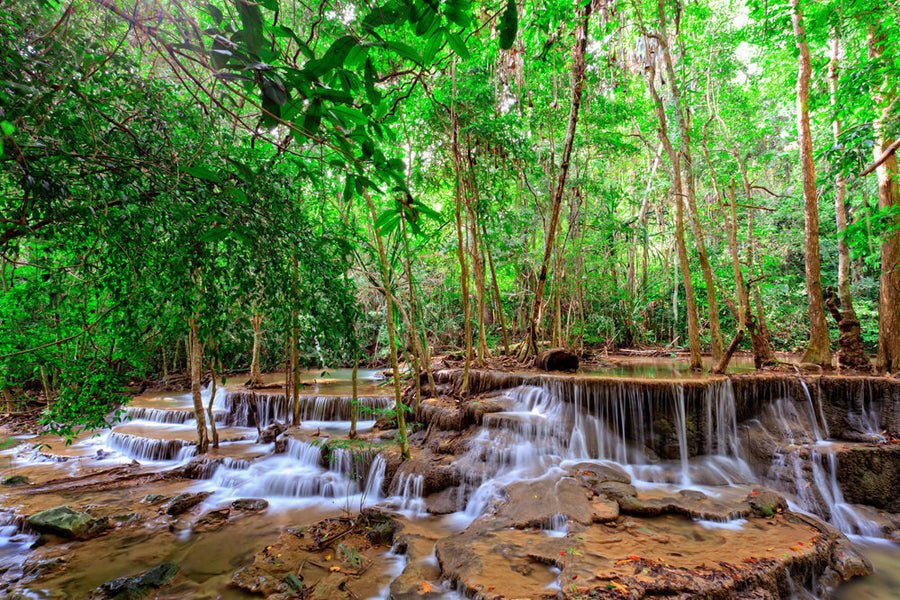 Akustikbild Slim Kleiner Wasserfall im Wald 1 (80 x 120 cm) – Handveredelter Kunstdruck auf Leinwand