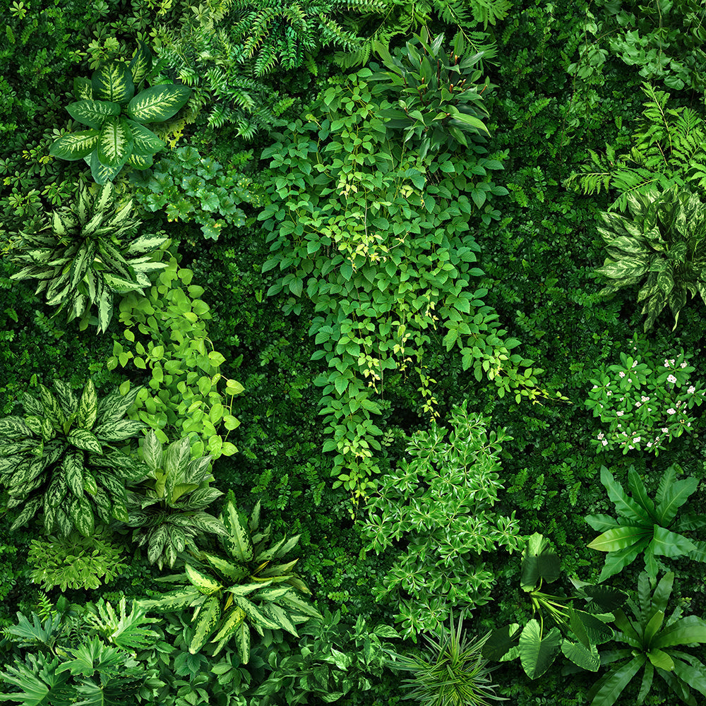 Akustikbild Slim Blick ins Grüne (80 x 80 cm) – Handveredelter Kunstdruck auf Leinwand