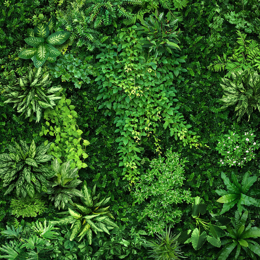 Akustikbild Slim Blick ins Grüne (80 x 80 cm) – Handveredelter Kunstdruck auf Leinwand