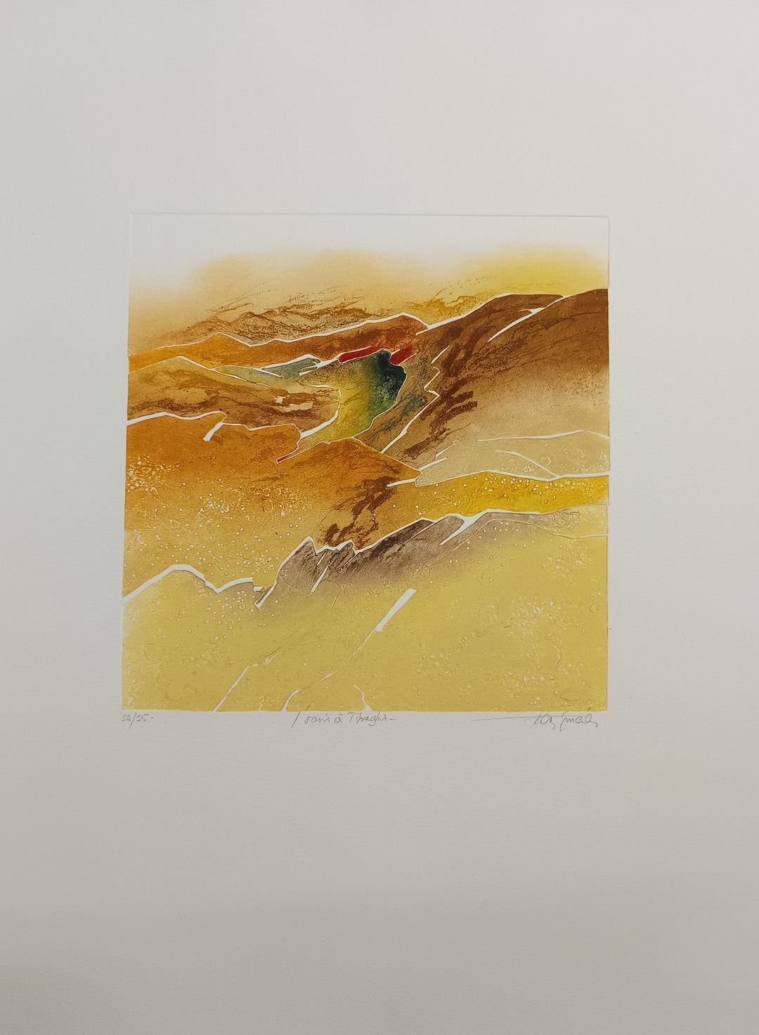 "L'Oasis à Tineghir"| Francis Méan