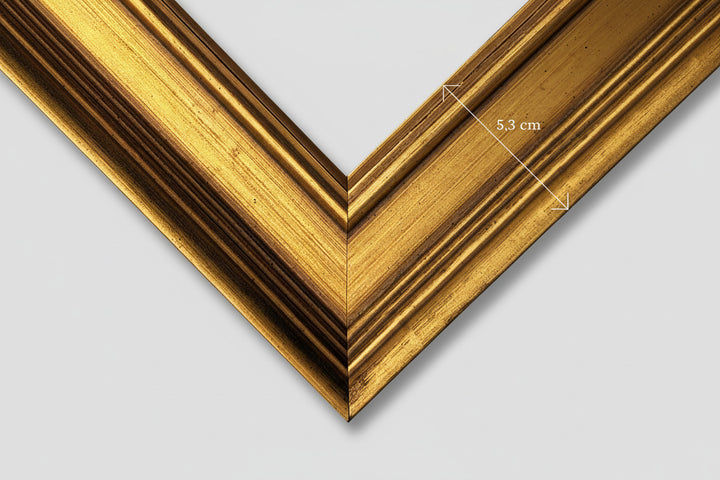 "Das Mädchen mit dem Perlenohrgehänge" | Johannes Vermeer