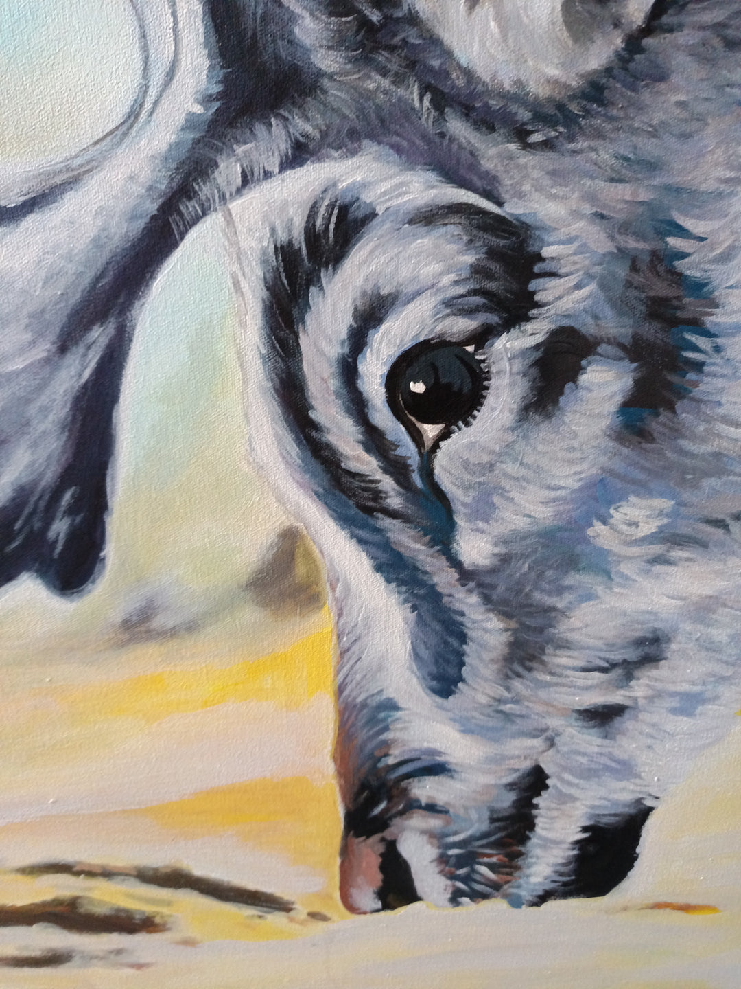 "Arctic Wild" | Spira