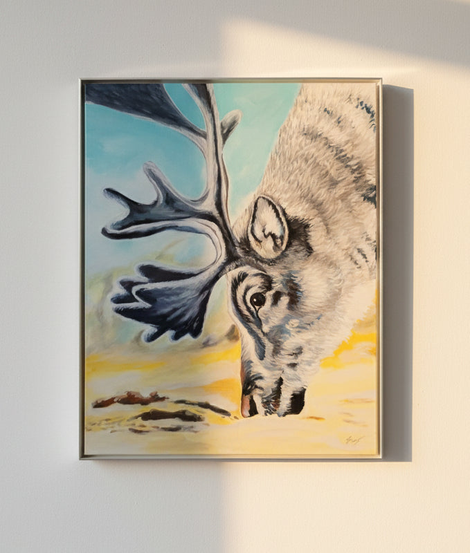 "Arctic Wild" | Spira