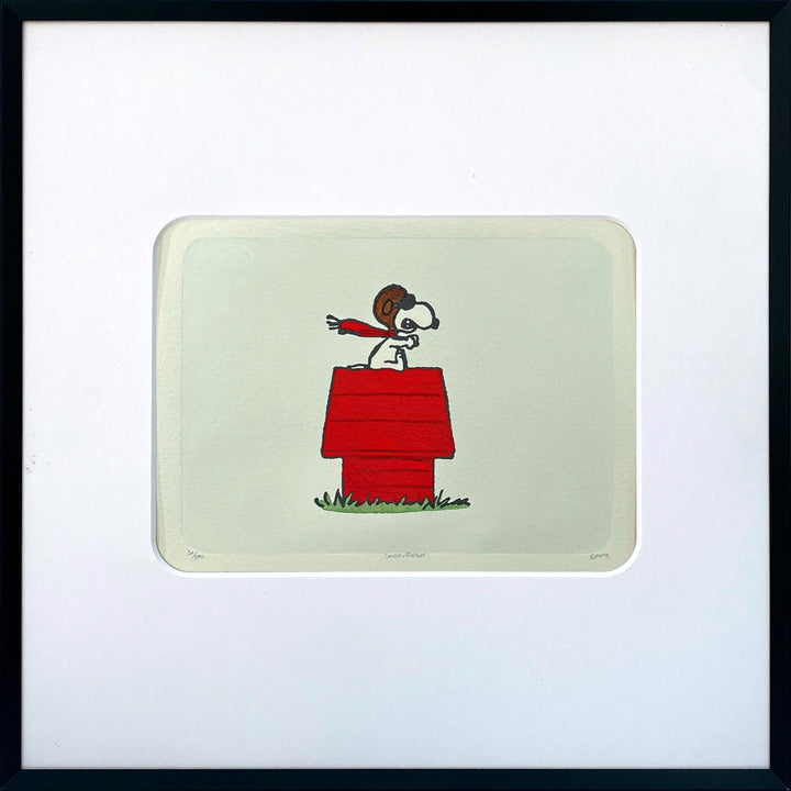 Red Baron | The Peanuts