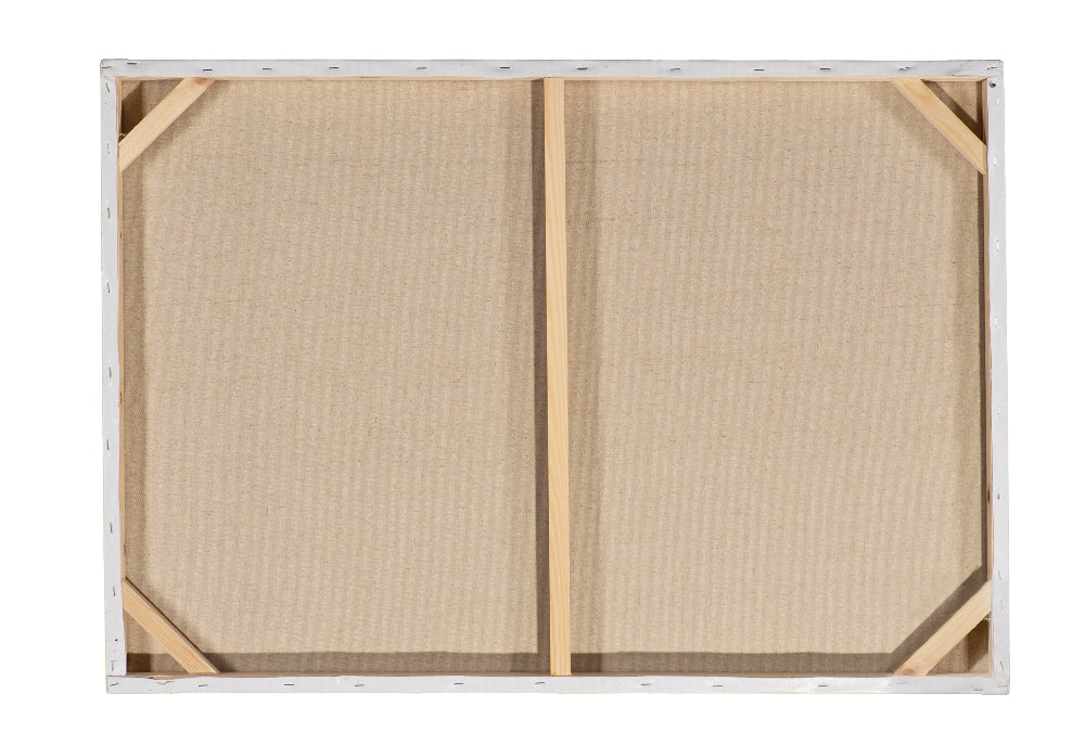 Indianische Waschbären