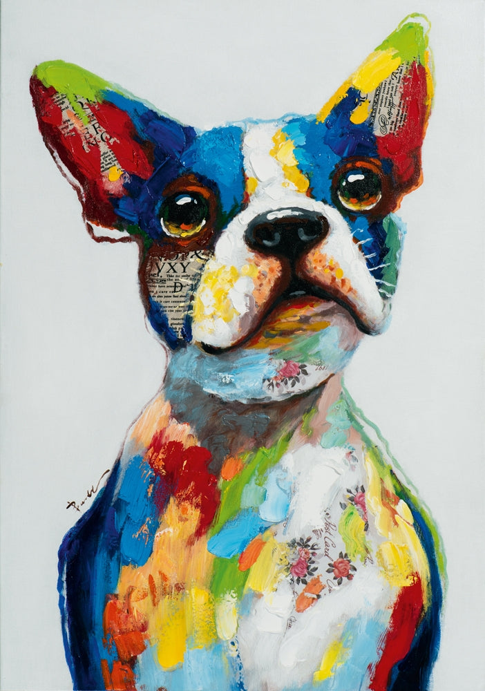 Lustiger bunter Hund