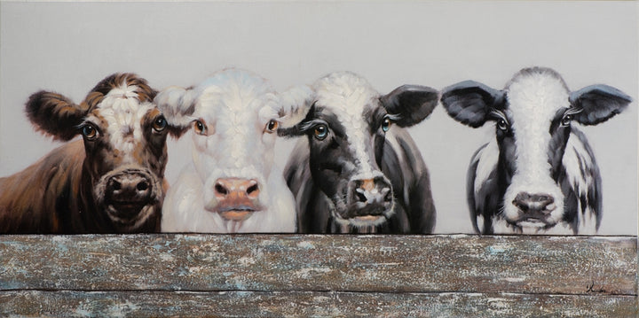 Kühe hinter dem Zaun