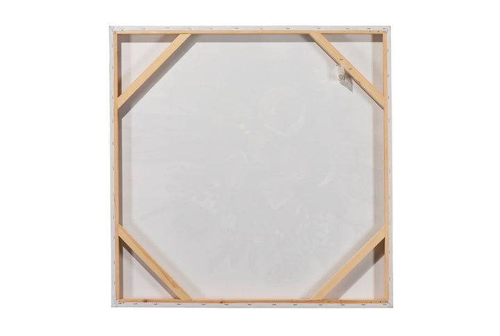 Charmantes Hochlandrind